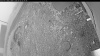 Web Cam Image - Fri, 06/05/2026 4:19am PDT