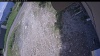 Web Cam Image - Fri, 06/12/2026 12:04pm PDT