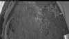 Web Cam Image - Wed, 06/24/2026 3:14am PDT