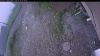 Web Cam Image - Mon, 06/29/2026 4:14am PDT