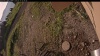 Web Cam Image - Fri, 07/11/2025 3:19am PDT