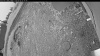 Web Cam Image - Fri, 06/05/2026 4:14am PDT