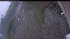 Web Cam Image - Sat, 06/06/2026 8:44am PDT