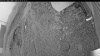 Web Cam Image - Fri, 06/26/2026 4:04am PDT
