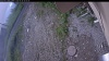 Web Cam Image - Sun, 06/28/2026 7:29am PDT