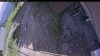 Web Cam Image - Tue, 06/30/2026 3:04pm PDT