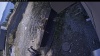 Web Cam Image - Thu, 10/08/2026 12:54pm PDT