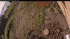 Web Cam Image - Fri, 07/11/2025 3:14am PDT