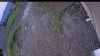 Web Cam Image - Mon, 06/08/2026 2:35pm PDT
