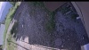 Web Cam Image - Tue, 06/30/2026 2:59pm PDT