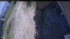 Web Cam Image - Mon, 07/06/2026 12:29pm PDT