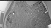 Web Cam Image - Fri, 05/15/2026 4:44am PDT