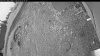 Web Cam Image - Fri, 06/05/2026 4:04am PDT