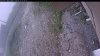 Web Cam Image - Wed, 06/17/2026 6:14am PDT