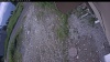 Web Cam Image - Wed, 07/01/2026 12:24pm PDT