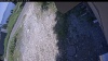 Web Cam Image - Mon, 07/06/2026 12:24pm PDT