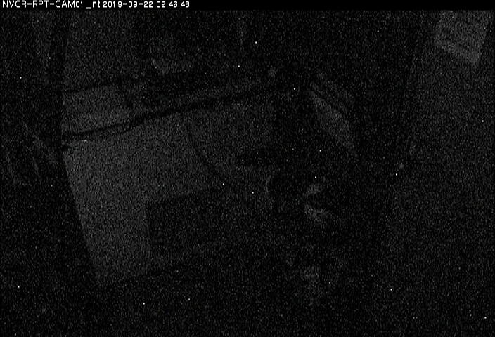 Web Cam History Image - 117