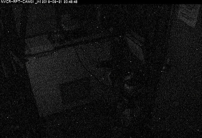 Web Cam History Image - 191