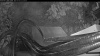 Web Cam Image - Thu, 07/02/2026 8:04pm PDT