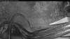 Web Cam Image - Tue, 08/18/2026 4:54am PDT