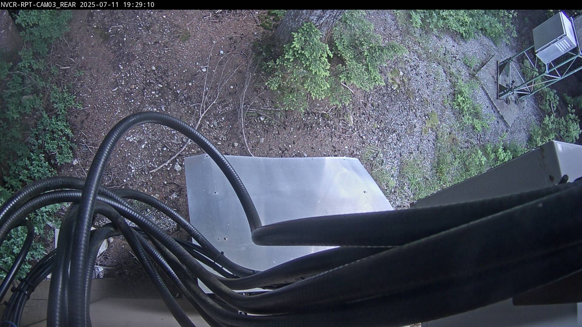 Web Cam History Image - 1