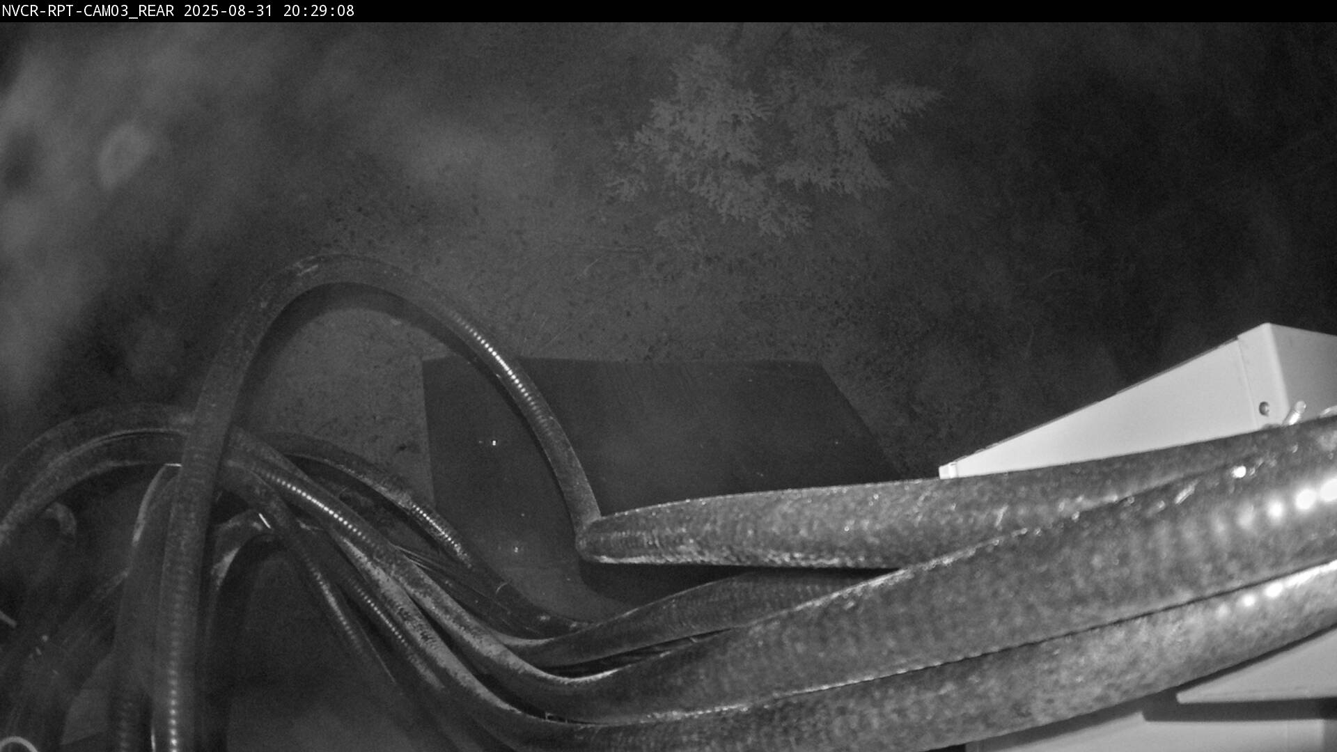 Web Cam History Image - 1