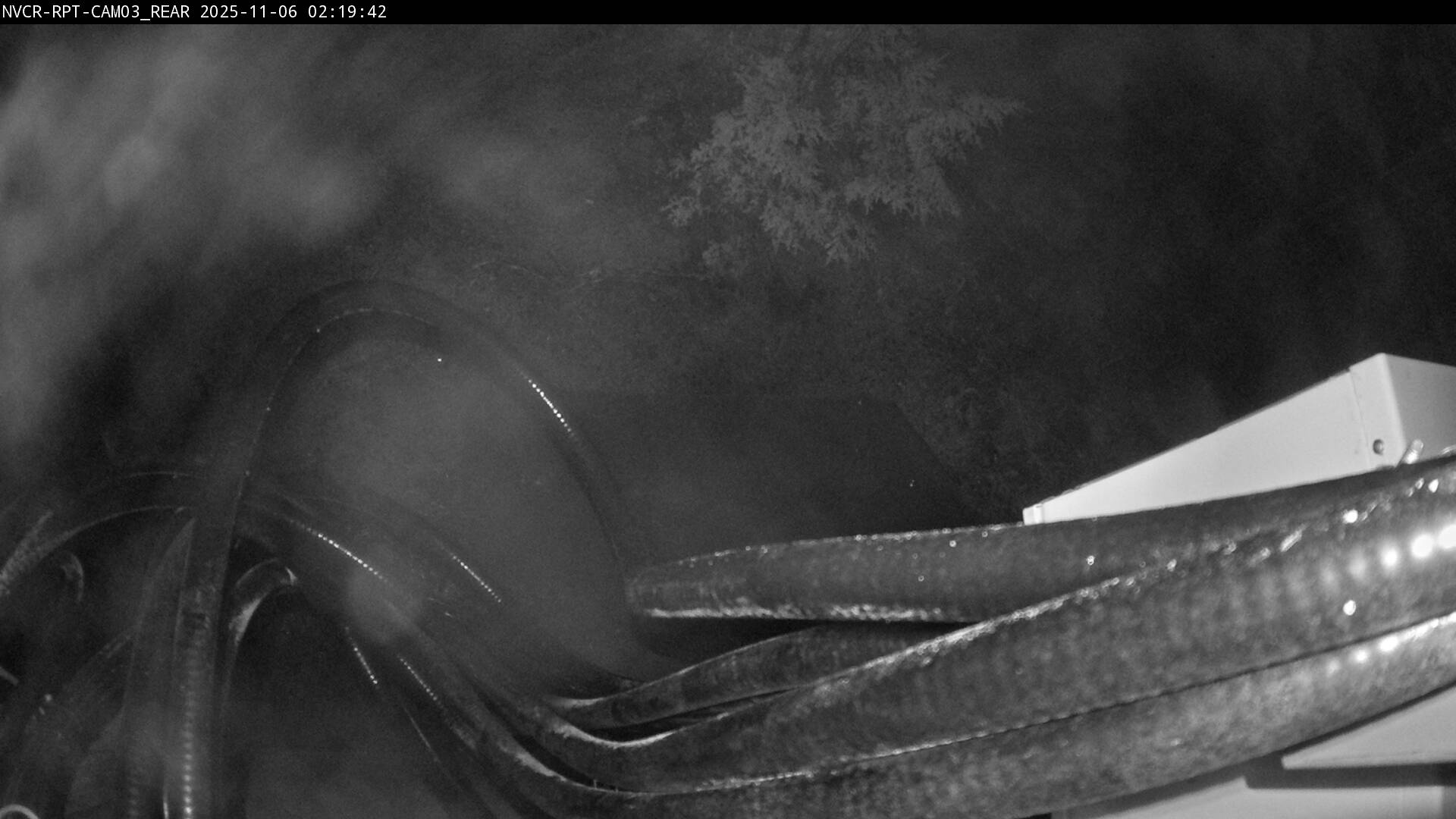 Web Cam History Image - 1