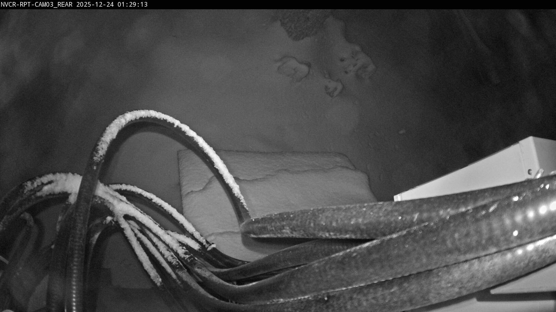 Web Cam History Image - 1