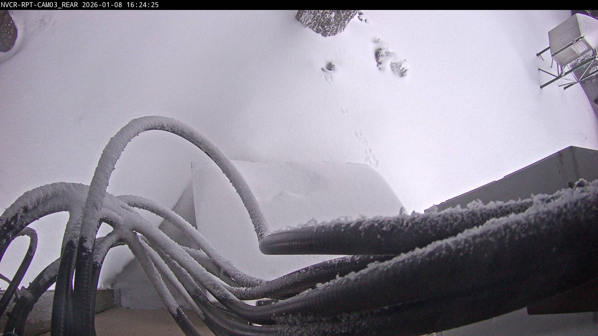 Web Cam History Image - 1