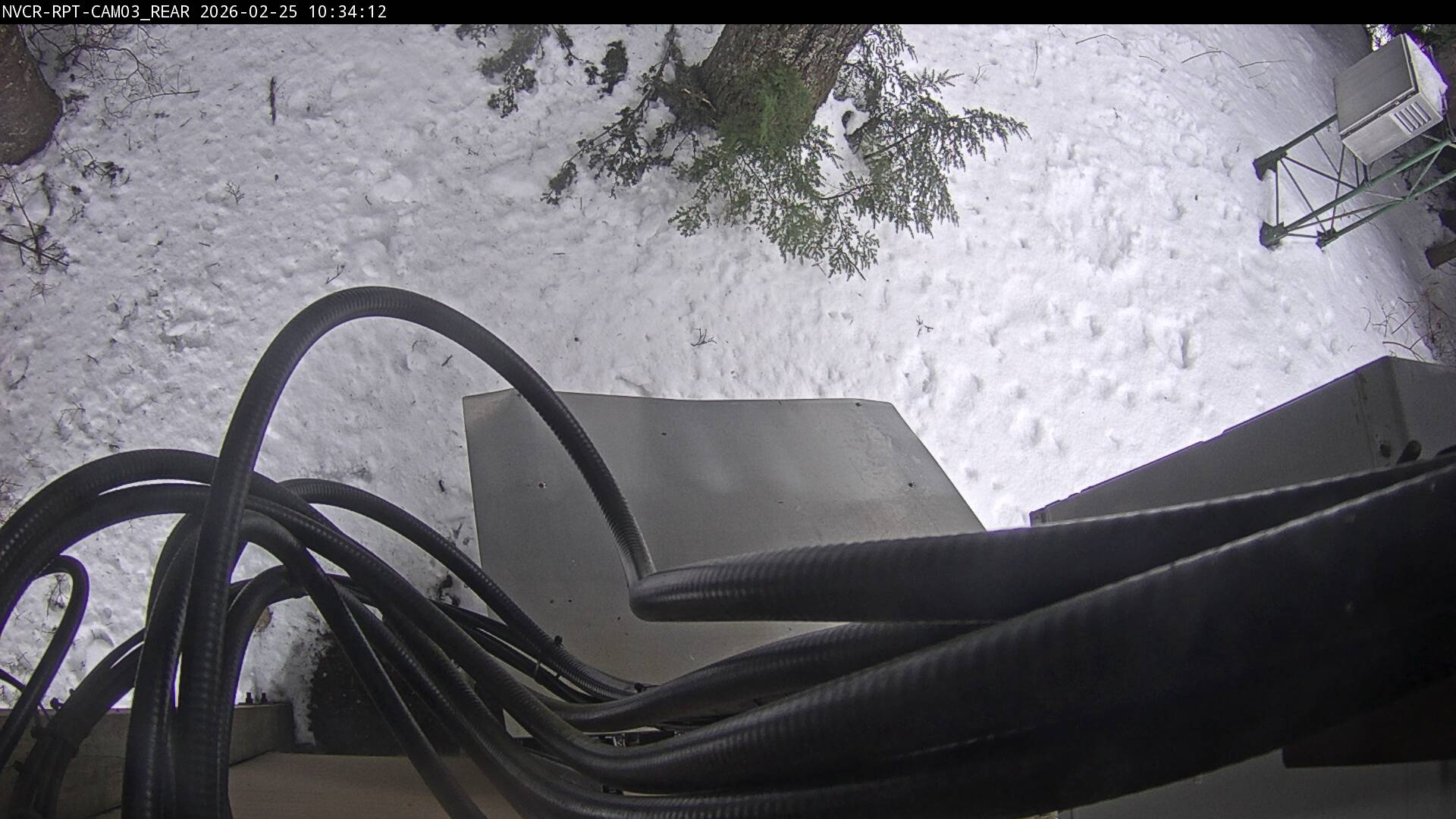 Web Cam History Image - 1