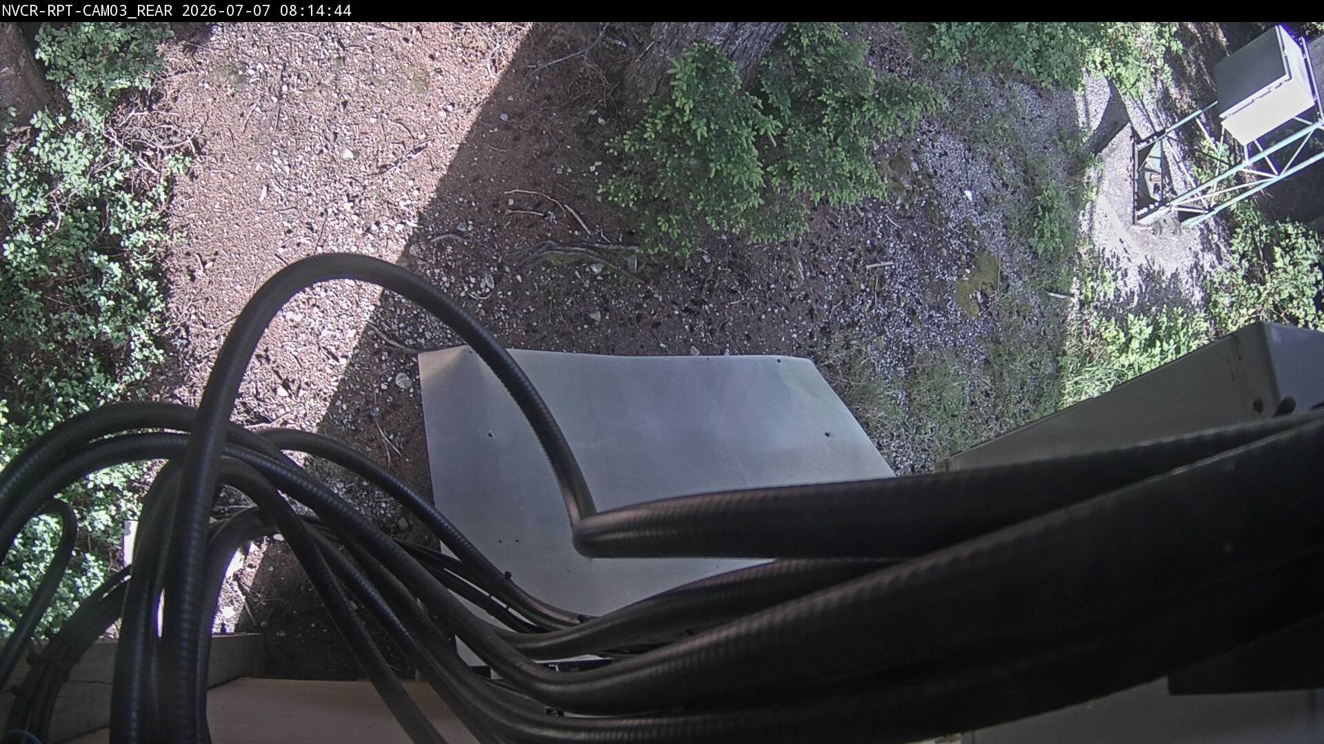 Web Cam History Image - 1