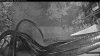 Web Cam Image - Mon, 08/10/2026 4:54am PDT
