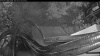 Web Cam Image - Mon, 08/24/2026 5:24am PDT