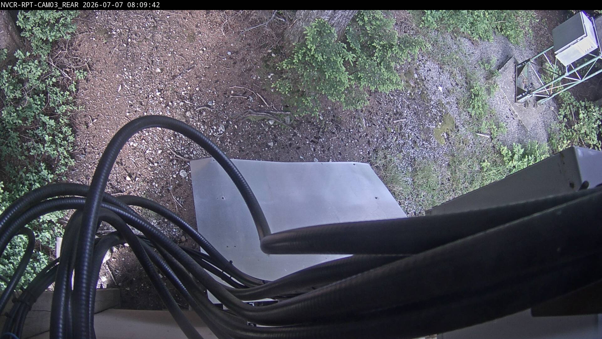 Web Cam History Image - 2