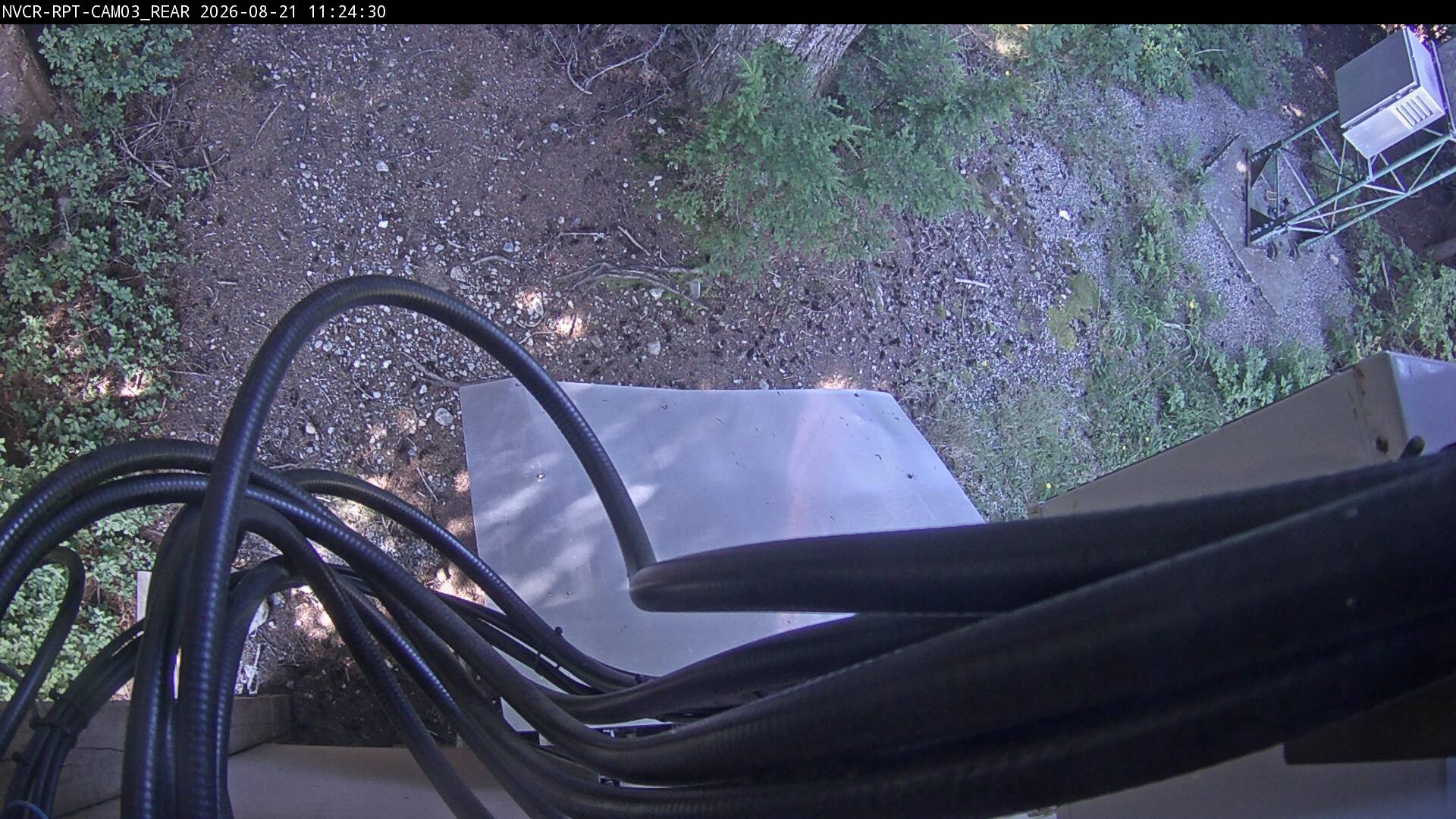 Web Cam History Image - 2