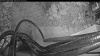 Web Cam Image - Thu, 06/04/2026 7:54pm PDT