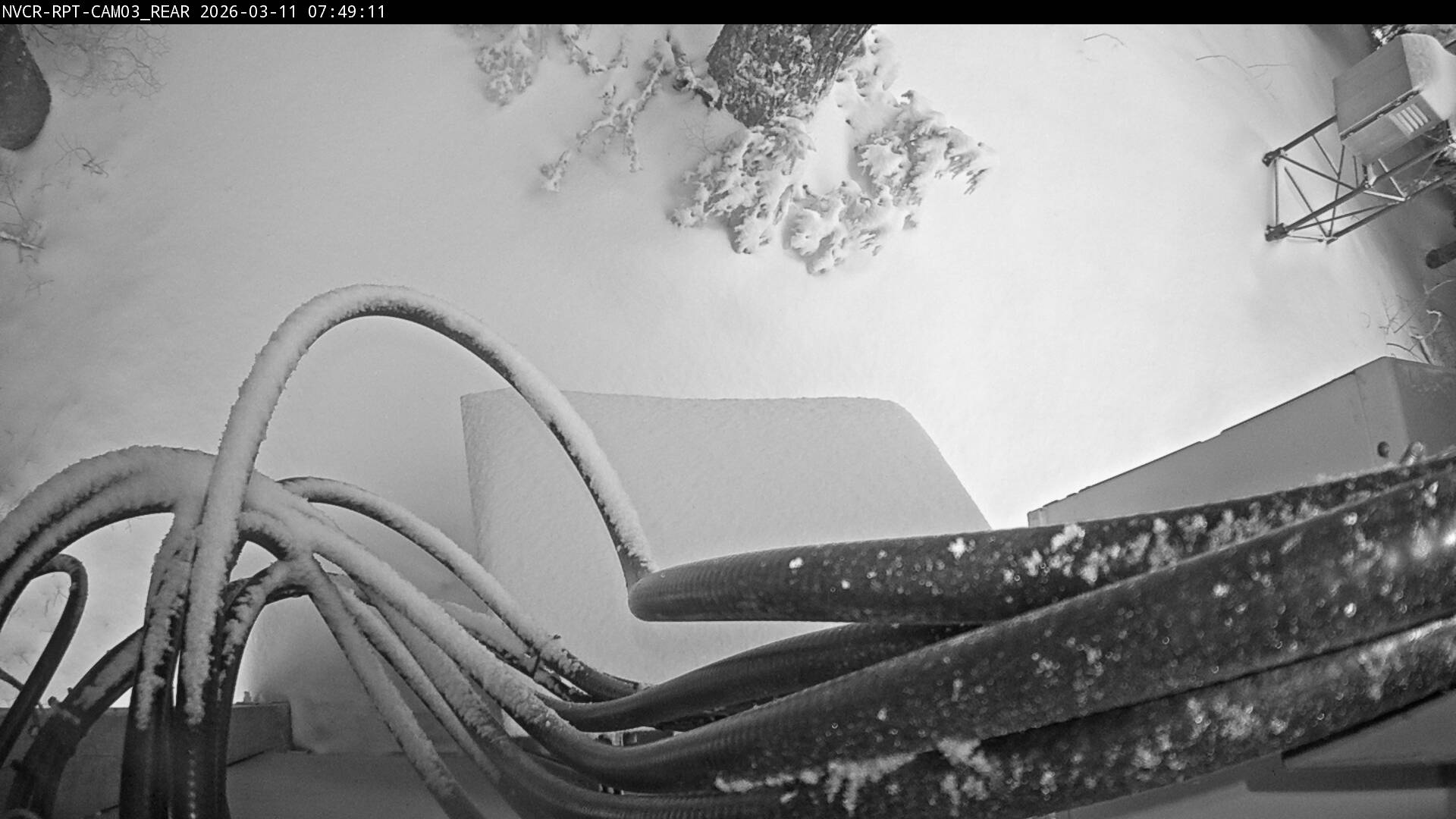 Web Cam History Image - 11