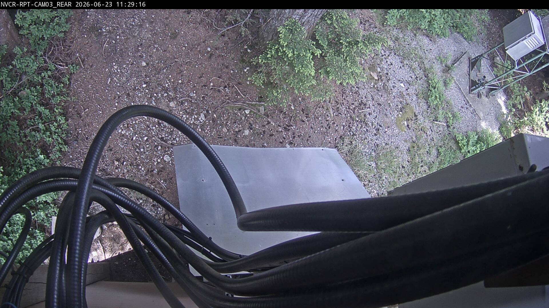 Web Cam History Image - 11