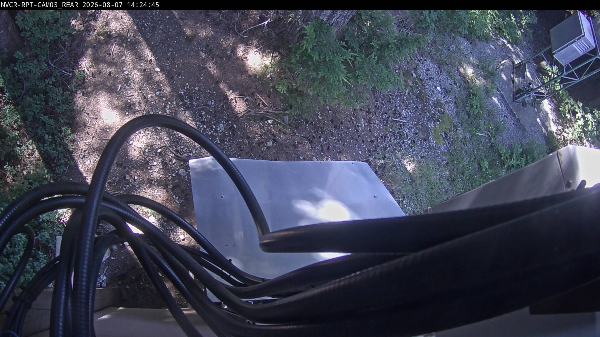 Web Cam History Image - 11