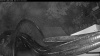 Web Cam Image - Sat, 10/17/2026 6:29am PDT