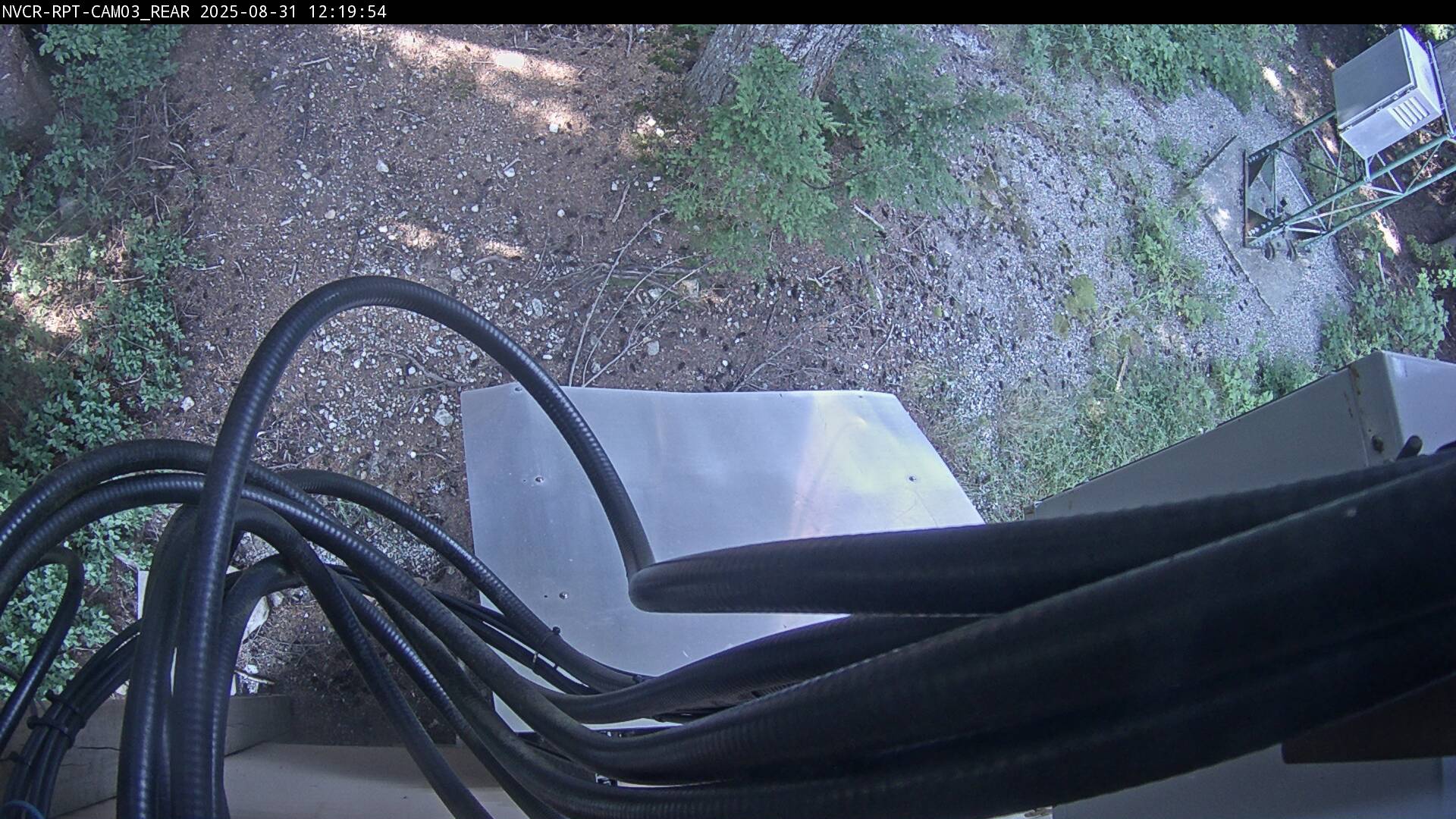 Web Cam History Image - 101