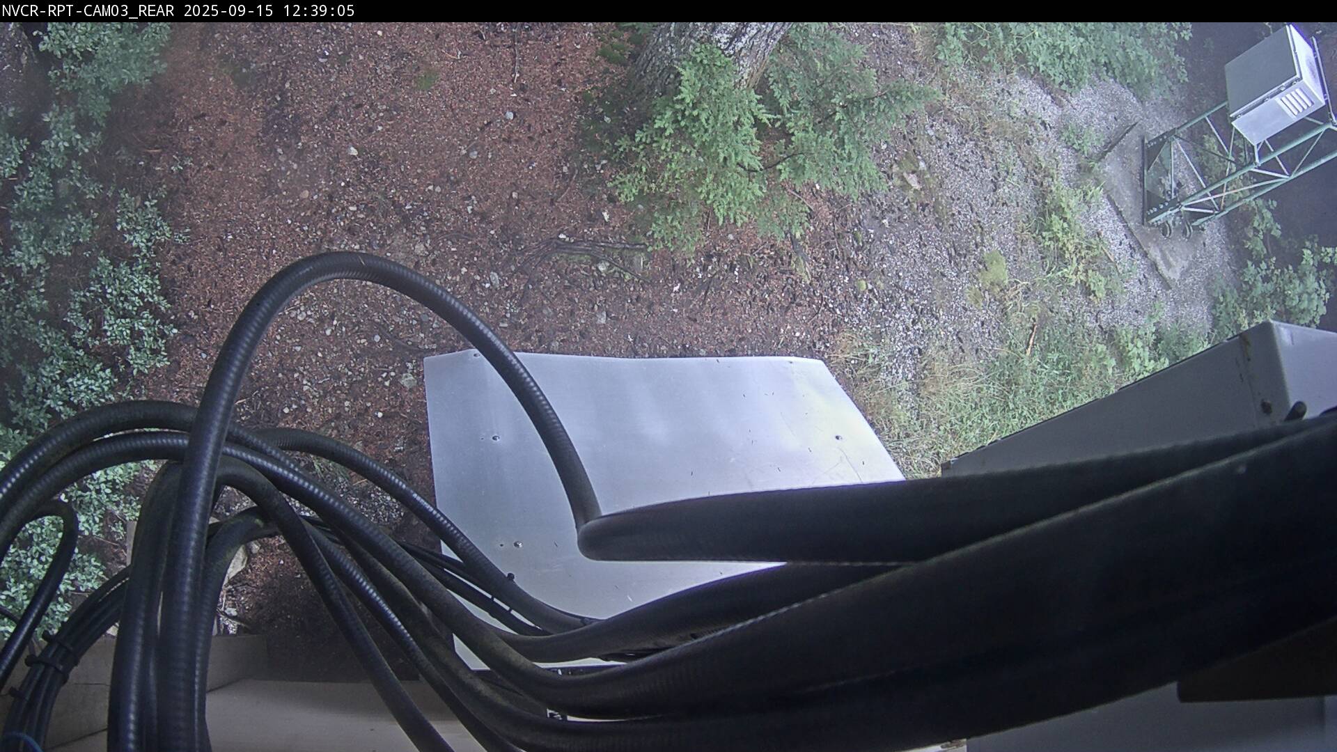 Web Cam History Image - 101