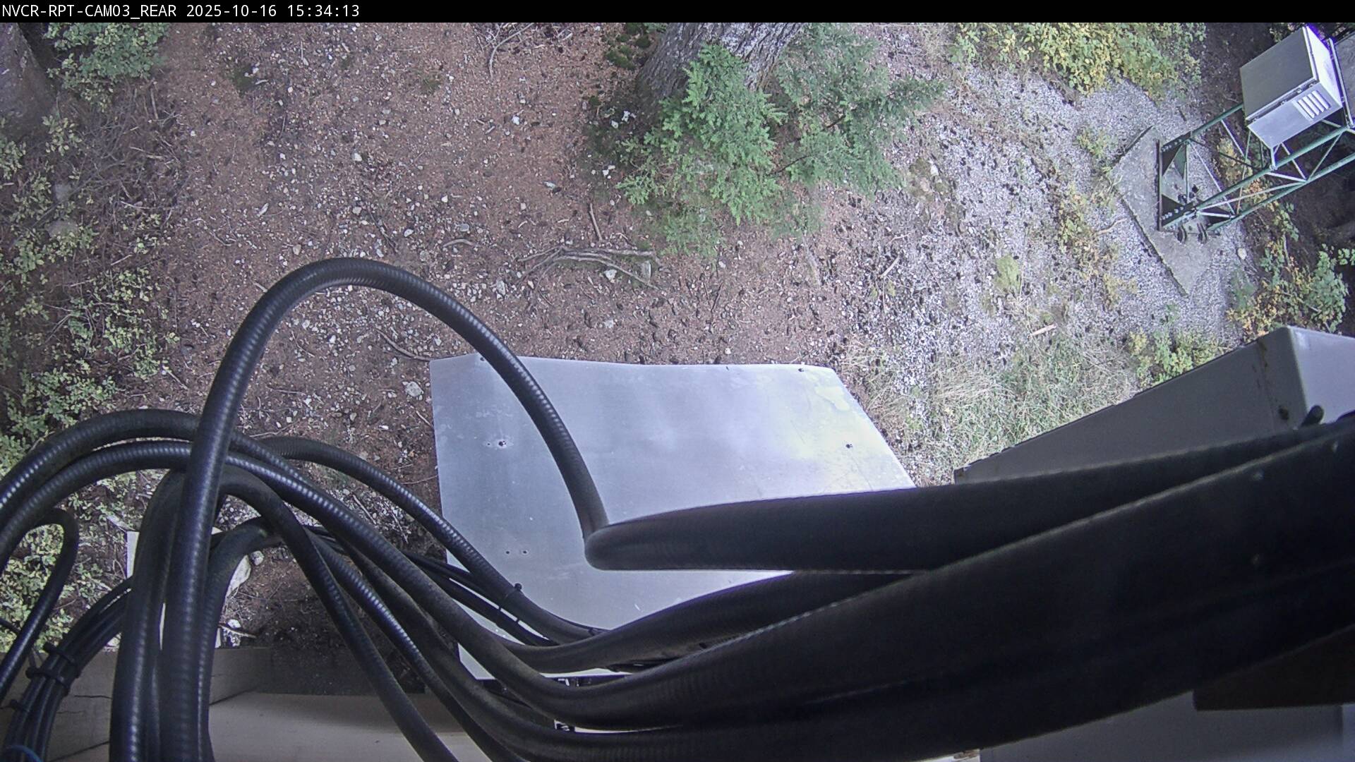 Web Cam History Image - 101
