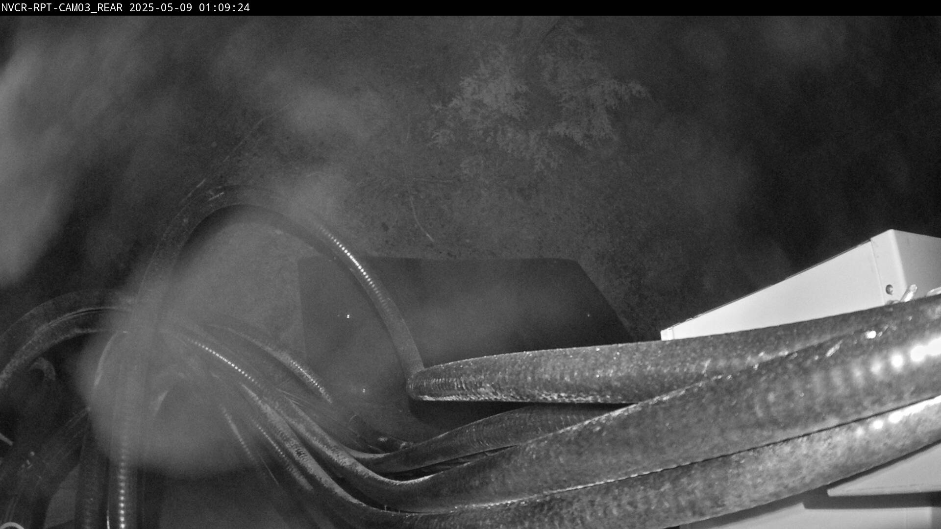 Web Cam History Image - 102