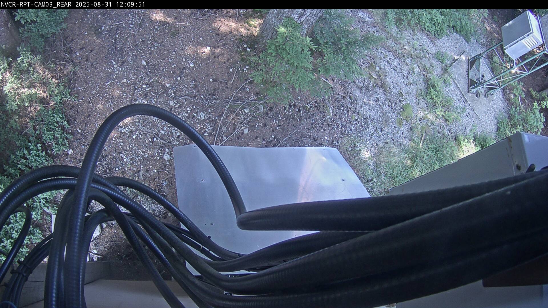 Web Cam History Image - 102