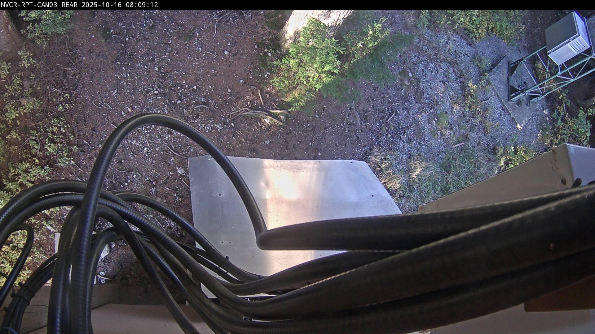 Web Cam History Image - 102