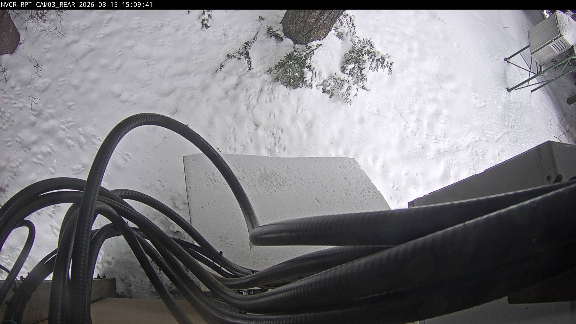 Web Cam History Image - 102