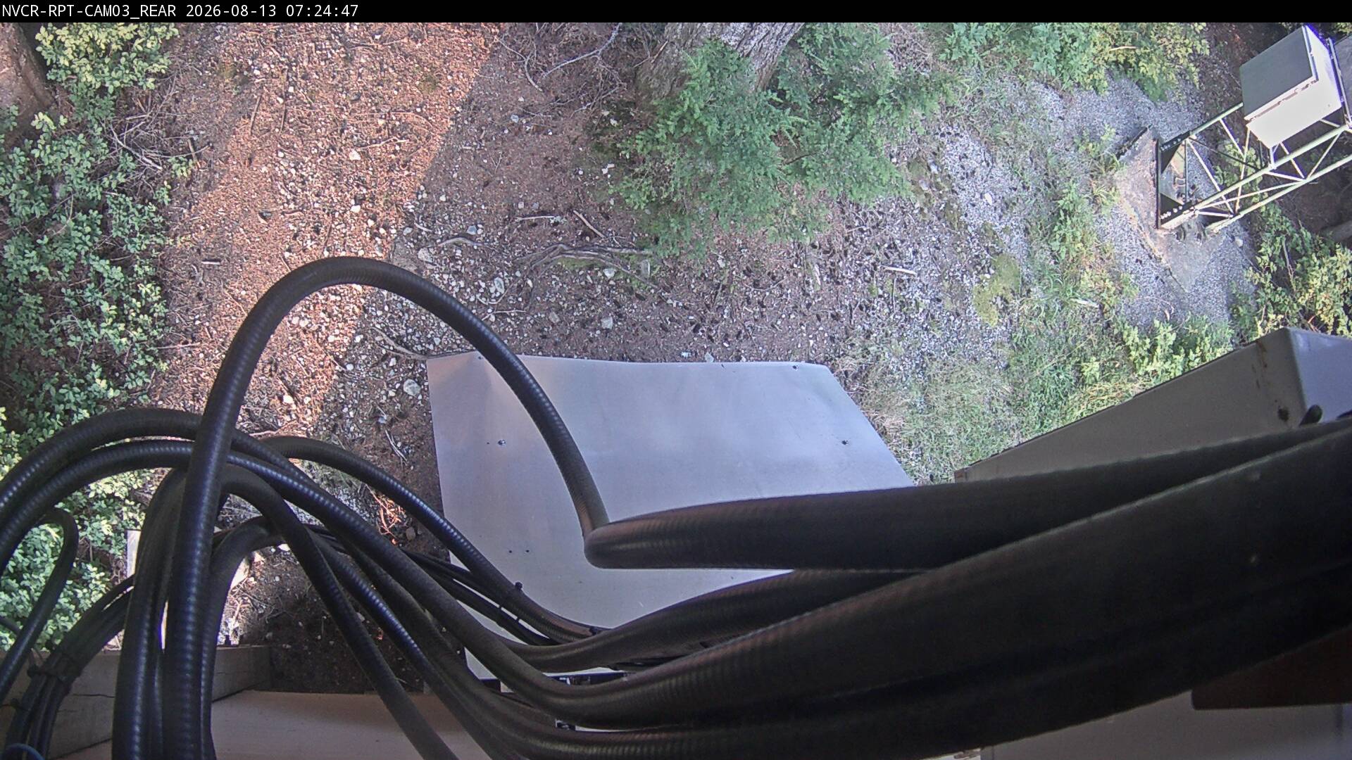 Web Cam History Image - 104