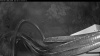 Web Cam Image - Sat, 06/27/2026 2:54am PDT