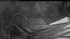 Web Cam Image - Sat, 07/25/2026 8:09pm PDT